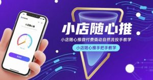 小店随心推微付费撬动自然流投手教学，小店随心推手把手教学-赚钱驿站