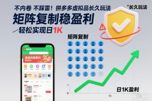 不内卷不踩雷!拼多多虚拟品长久玩法,矩阵复制稳盈利,轻松实现日1K【揭秘】-赚钱驿站