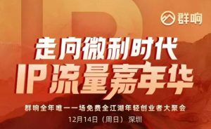 2025ip嘉年华万人12月14深圳线下课，走向微利时代，IP流量嘉年华，实操性极强的商业干货课-赚钱驿站