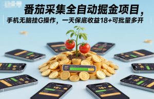 番茄采集全自动掘金项目，手机无脑挂G操作，一天保底收益18+可批量多开【揭秘】-赚钱驿站