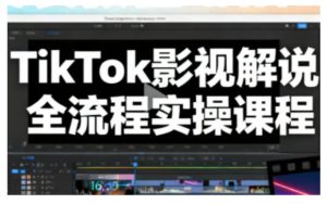 TikTok影视解说全流程实操,手把手教你打造TK爆款解说视频-赚钱驿站