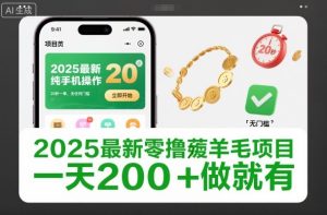 2025最新零撸薅羊毛项目，纯手机操作，20秒一单，无任何门槛，一天200+做就有【揭秘】-赚钱驿站
