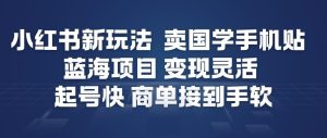 小红书新玩法，卖国学手机贴，蓝海项目，变现灵活，起号快，商单接到手软-赚钱驿站