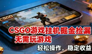 CSGO游戏挂G掘金捡漏，不需要玩游戏，操作简单，收益稳定【揭秘】-赚钱驿站
