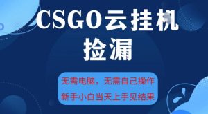 CSGO云挂G全自动捡漏，最新独家玩法，无需电脑操作，新手小白日入5张+【揭秘】-赚钱驿站