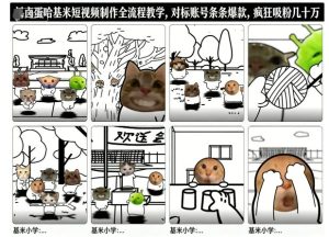 卤蛋哈基米短视频制作全流程教学，条条爆款，疯狂吸粉几十万-赚钱驿站