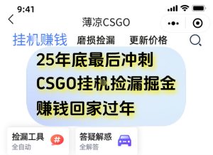 12月年底抓紧最后一个月,用CSGO游戏挂G捡漏掘金賺钱掘金,一部手机轻松日入5张+【揭秘】-赚钱驿站
