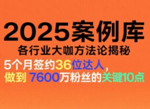 2025案例库，收录各行业大咖的方法论，各行业大咖方法论揭秘-赚钱驿站