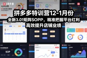 拼多多特训营12-1月份，全新3.01矩阵Sop，精准把握平台红利，高效提升店铺业绩-赚钱驿站