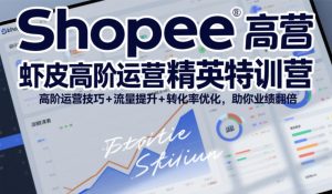 Shopee虾皮高阶运营精英特训营，高阶运营技巧+流量提升+转化率优化，助你业绩翻倍-赚钱驿站