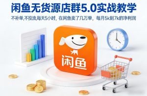 闲鱼无货源店群5.0实战教学，不补单，不投流，每天5小时，在闲鱼卖了几万单，每月5k到7k的净利润-赚钱驿站
