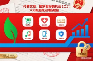 付费文章：国家看好的机会(二)：六大新消费及其新增量-赚钱驿站
