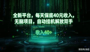 最新看广平台,每天保底30-4米,无脑项目,自动挂G解放双手【揭秘】-赚钱驿站