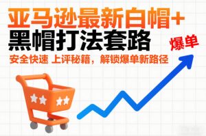 亚马逊最新白帽+黑帽打法套路,安全快速上评秘籍,解锁爆单新路径-赚钱驿站