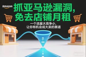 抓亚马逊漏洞,免去店铺月租,一个流量大竞争小,让你有机会成大卖的赛道-赚钱驿站