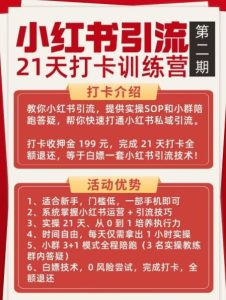 小红书引流21天打卡训练营第二期，助你快速打通小红书私域引流打粉-赚钱驿站