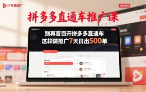 拼多多直通车推广课，别再盲目开拼多多直通车，这样做推广7天日出500单-赚钱驿站
