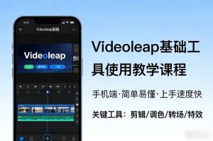 Videoleap基础工具使用教学课程，手机端视频剪辑教学，简单易懂，上手速度快-赚钱驿站
