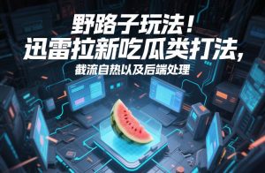 野路子玩法!迅雷拉新吃瓜类打法,截流自热以及后端处理-赚钱驿站