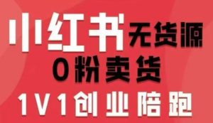 小红书无货源0粉电商课,开店准备、选品策略、笔记撰写、视频剪辑、数据分析、账号打造、资料文档(更新26年2月)-赚钱驿站
