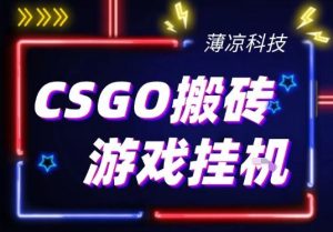 CSGO游戏挂G游戏搬砖最新升级,普通小白一部手机可日入3张+当天见结果,支持验证【揭秘】-赚钱驿站