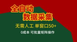 全自动数据采集项目,无需人工,单窗口可达50+收益,操作简单无难度,一个人也能轻松实现矩阵【揭秘】-赚钱驿站