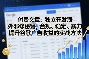 付费文章：独立开发海外邪修秘籍，合规、稳定、暴力提升谷歌广告收益的实战方法-赚钱驿站