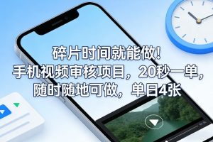碎片时间就能做!手机视频审核项目,20秒一单,随时随地可做,单日4张+【揭秘】-赚钱驿站