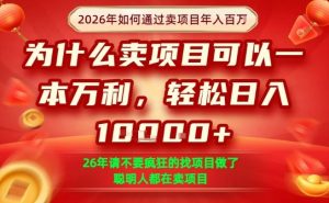 一单净利润1K+,26年想年入100个W,死磕卖项目就够了【揭秘】-赚钱驿站