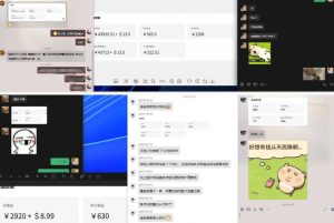 雷神加速器项目模拟器_无脑1分钟1条视频矩阵_疯狂报单打法【焚诀】-赚钱驿站