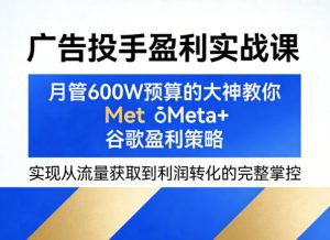 广告投手盈利实战课,月管600W预算的大神教你Meta+谷歌盈利策略,实现从流量获取到利润转化的完整掌控-赚钱驿站