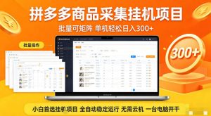 拼多多商品信息全自动采集项目，批量可矩阵，单机轻松日入300+，无需云机一台电脑开干【揭秘】-赚钱驿站
