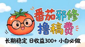 番茄撸金术：日入300+稳如泰山！独家玩法曝光，操作门槛极低，无需经验，小白闭眼上车【揭秘】-赚钱驿站