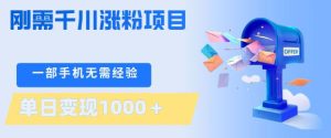 刚需千川涨粉项目，一部手机无需技术，单日变现1k+，当天做当天见收益【揭秘】-赚钱驿站