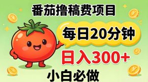 番茄撸稿费，每天20分钟，日入300+！0门槛躺賺，小白直接抄作业【揭秘】-赚钱驿站