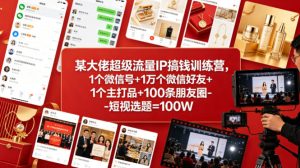 某大佬超级流量IP搞钱训练营，1个微信号+1万个微信好友+1个主打品+100条朋友圈-短视选题=100W-赚钱驿站