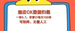 上班也能玩的酒店CK数据归集，一单0.7单窗口每天可做100单，一个人就能矩阵操作【揭秘】-赚钱驿站