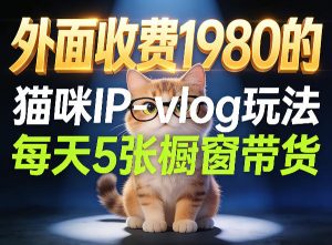 宠物赛道猫咪IP-vlog玩法，26条视频涨粉29W，每天5张橱窗带货拆解-赚钱驿站