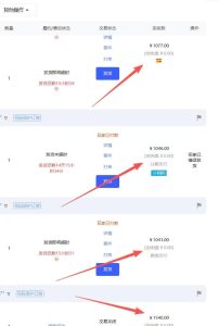 【超强副业】淘宝超高价女装项目：1单賺1k+，可工作室放大（共52节）-赚钱驿站