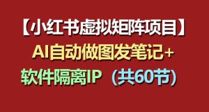 小红书虚拟矩阵项目:软件隔离IP+AI自动做图发笔记(共60节)-赚钱驿站