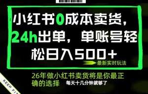 小红书0成本AI卖货,24小时出单,全流程托管,保底日入500+,每天十几分钟就够了【揭秘】-赚钱驿站