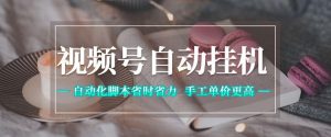 视频号自动挂G项目,自动化脚本省时省力,手工单价更高,日入300+全网最稳【揭秘】-赚钱驿站