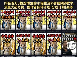 抖音百万粉丝博主的小猫生活科普视频教学,流量大起号快,创作者伙伴计划|分成计划|商单|收徒等-赚钱驿站