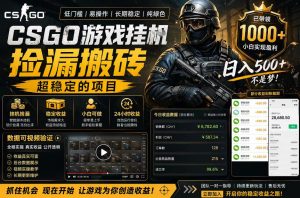 CSGO游戏搬砖，全自动挂G，不需要玩游戏，手机操作日入300+，解放双手【揭秘】-赚钱驿站