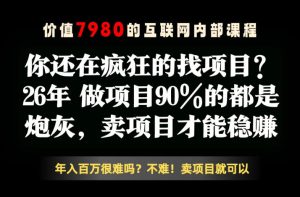 26年请不要疯狂的找项目了，卖项目远比你想象的暴利，你也可以月入10W+【揭秘】-赚钱驿站