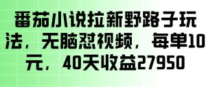 番茄小说拉新野路子玩法,无脑怼视频,玩法简单、见效快,每单10米,40天收益27950-赚钱驿站