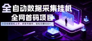 全自动数据采集挂G,全网首码项目,简单易操作,小白也能轻松上手,多账号操作,轻松日入500+【揭秘】-赚钱驿站