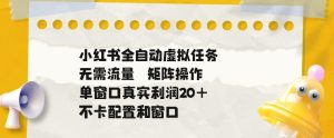 小红书全自动虚拟任务，矩阵操作无需流量，单窗口20+真实收益，不卡配置和窗口【揭秘】-赚钱驿站