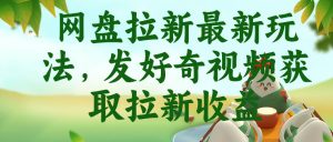 网盘拉新最新玩法,发好奇视频获取拉新收益,抖音收藏家玩法-赚钱驿站