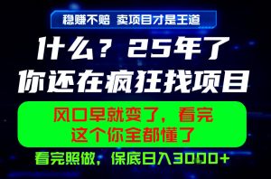26年，请不要疯狂的找项目做了！卖项目才是真的稳賺不赔，看完照做，保底日入1k+【揭秘】-赚钱驿站